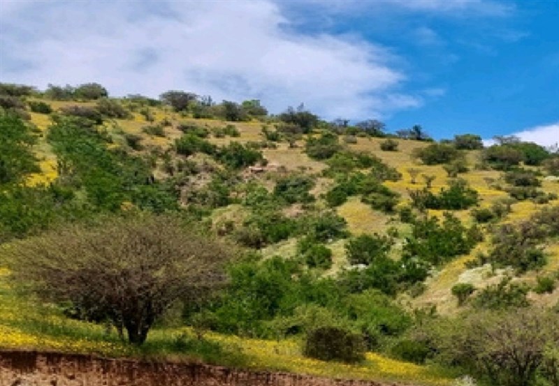 Venta Parcela Melipilla - Región Metropolitana