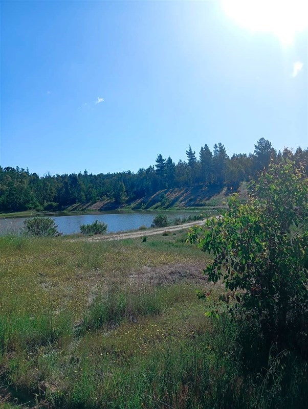 Venta Parcela Cauquenes - Maule