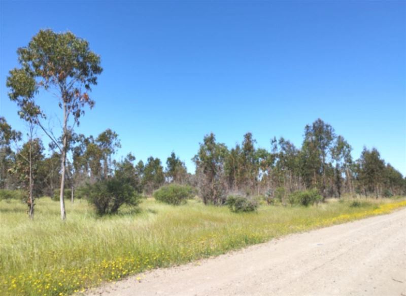 Venta Parcela San Nicolás - Ñuble