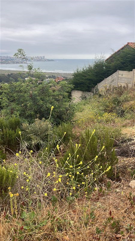 Venta Parcela Quintero - Valparaíso