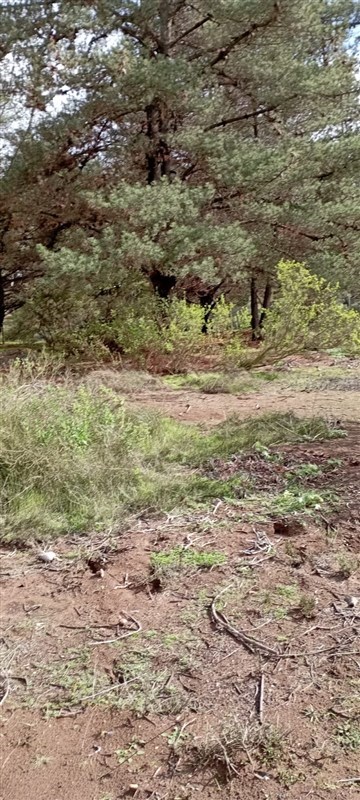 Venta Industrial Viña del Mar - Valparaíso