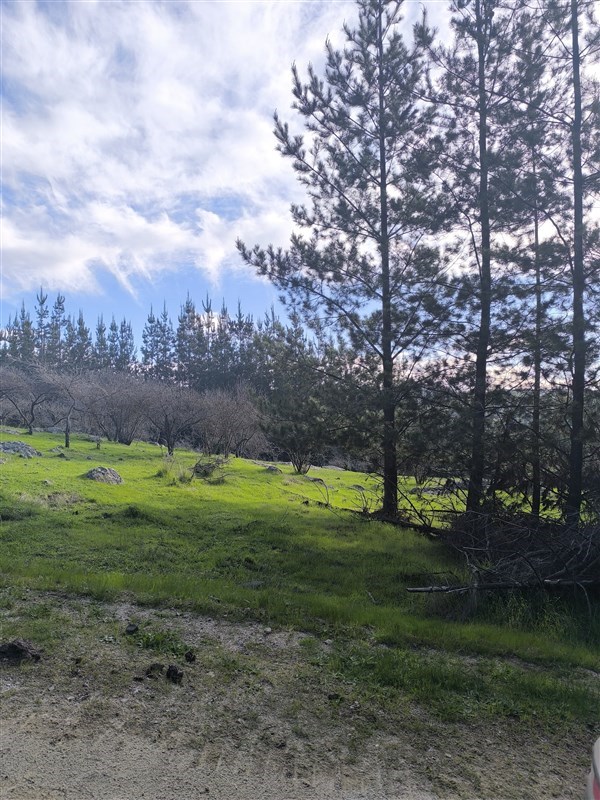 Venta Parcela Licantén - Maule