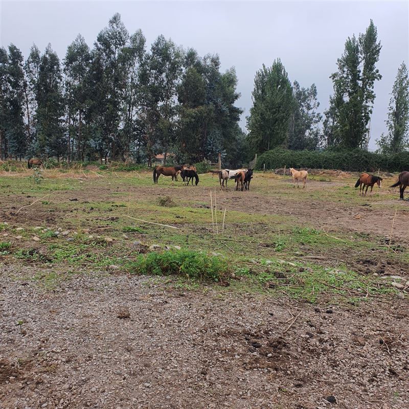 Venta Terreno San Fernando - O'Higgins