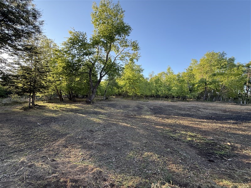 Venta Parcela Pinto - Ñuble