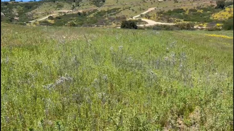 Venta Parcela Litueche - O'Higgins