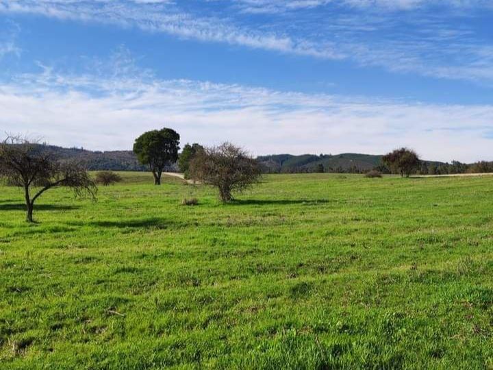 Venta Parcela Vichuquén - Maule