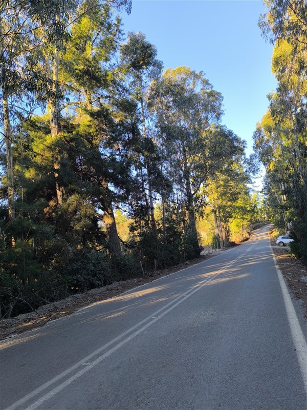 Venta Parcela Pichilemu - O'Higgins