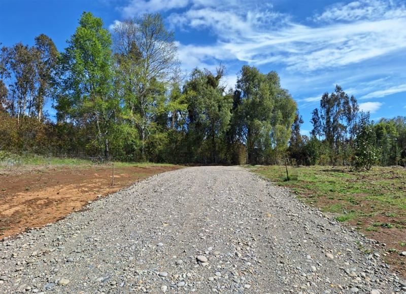 Venta Parcela Villarrica - La Araucanía