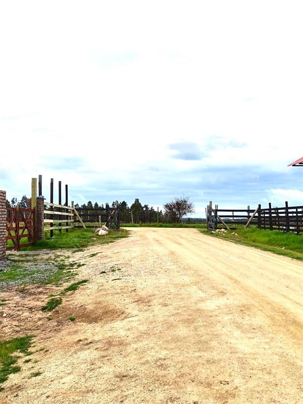 Venta Parcela Marchigüe - O'Higgins