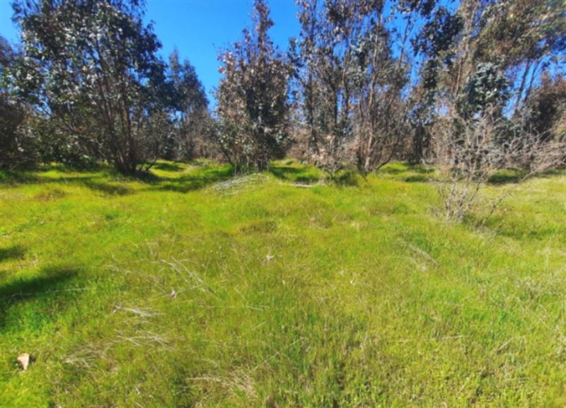 Venta Parcela Chillán - Ñuble