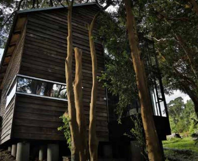 Venta Sitio Coihueco - Ñuble