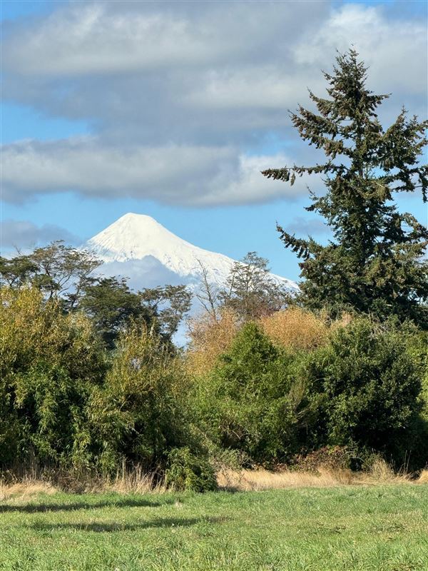 Venta Parcela Puyehue - Los Lagos