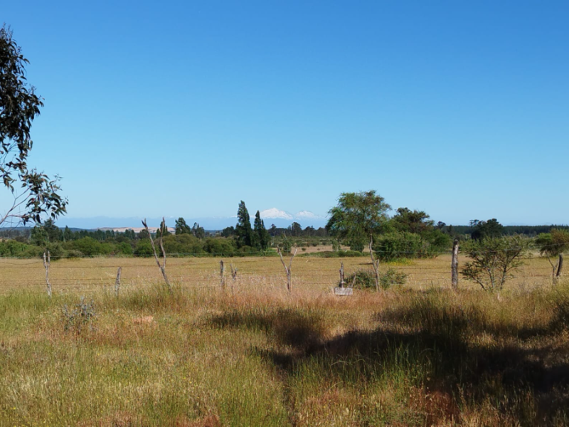 Venta Parcela San Nicolás - Ñuble
