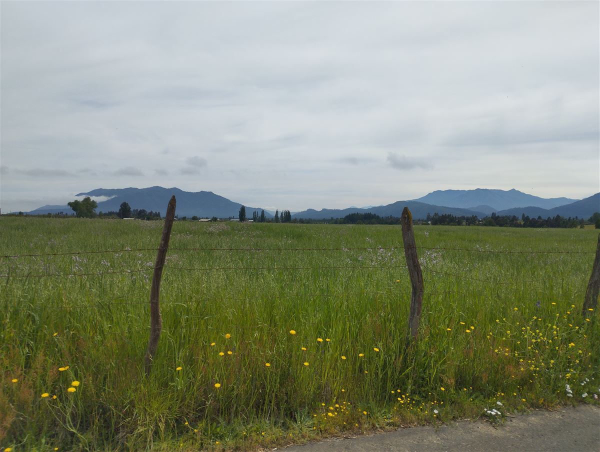 Venta Agrícola Río Claro - Maule