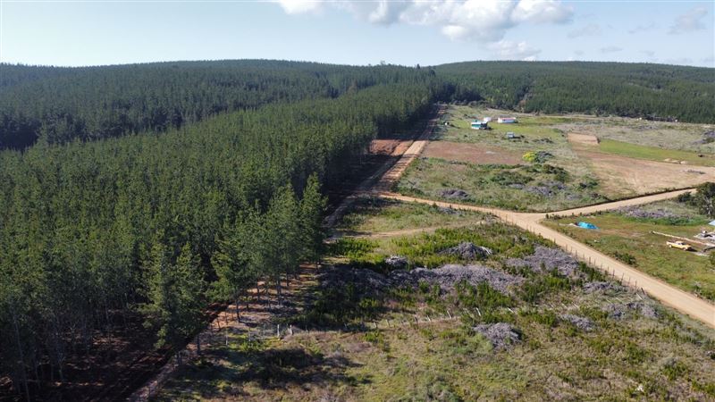 Venta Parcela Pichilemu - O'Higgins