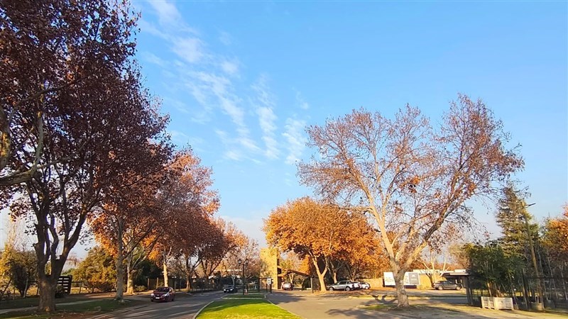 Venta Sitio Colina - Región Metropolitana