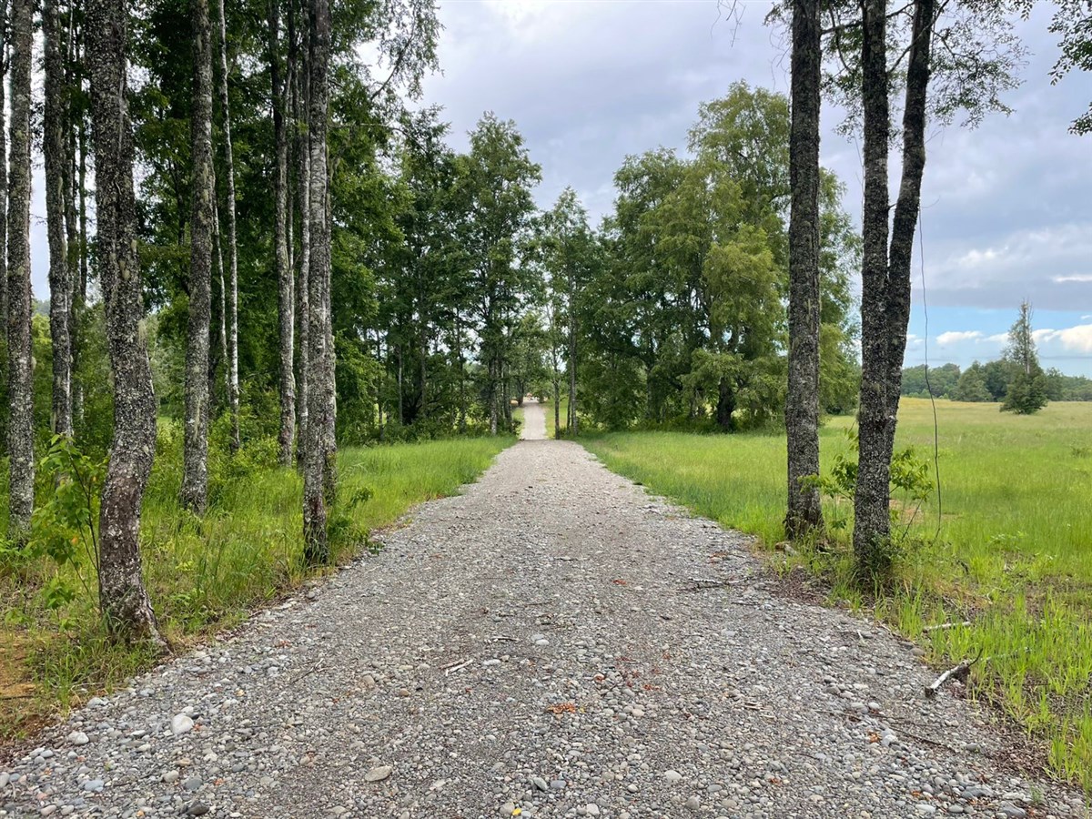 Venta Parcela Villarrica - La Araucanía