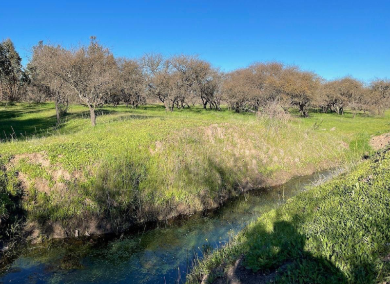 Venta Parcela San Nicolás - Ñuble