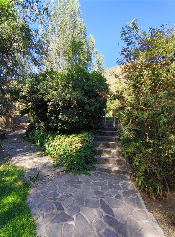 Arriendo Parcela Talagante - Región Metropolitana