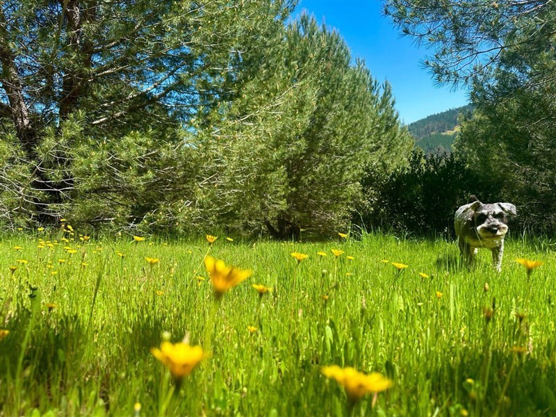 Venta Parcela Vichuquén - Maule