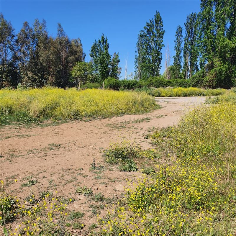 Venta Terreno San Fernando - O'Higgins