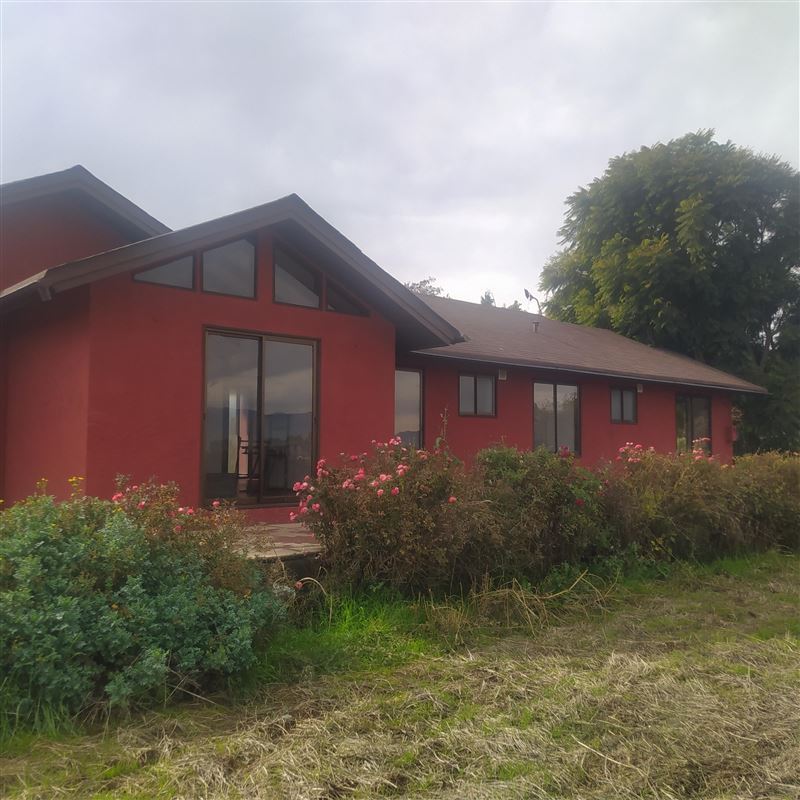 Venta Parcela Isla de Maipo - Región Metropolitana