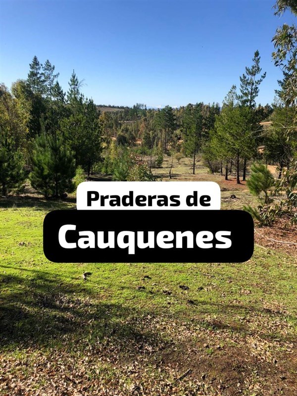 Venta Parcela Cauquenes - Maule