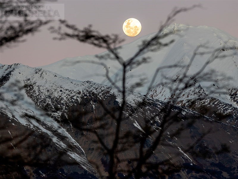 Venta Terreno Río Ibañez - Aysén