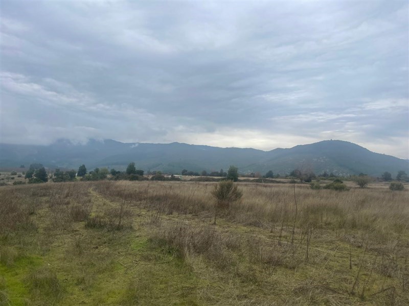 Venta Agrícola San Clemente - Maule