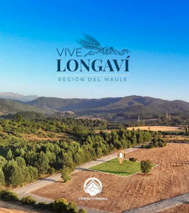 Venta Parcela Longaví - Maule