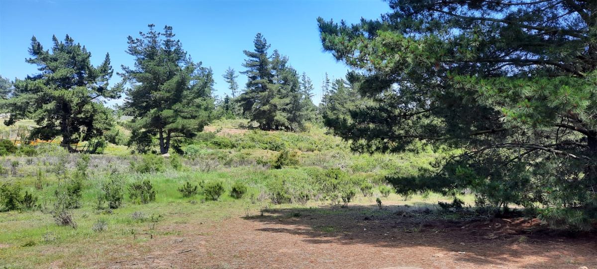 Venta Parcela Algarrobo - Valparaíso