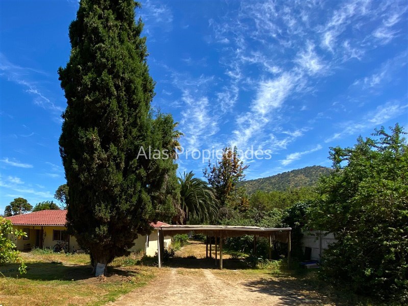 Arriendo Parcela Curacaví - Región Metropolitana