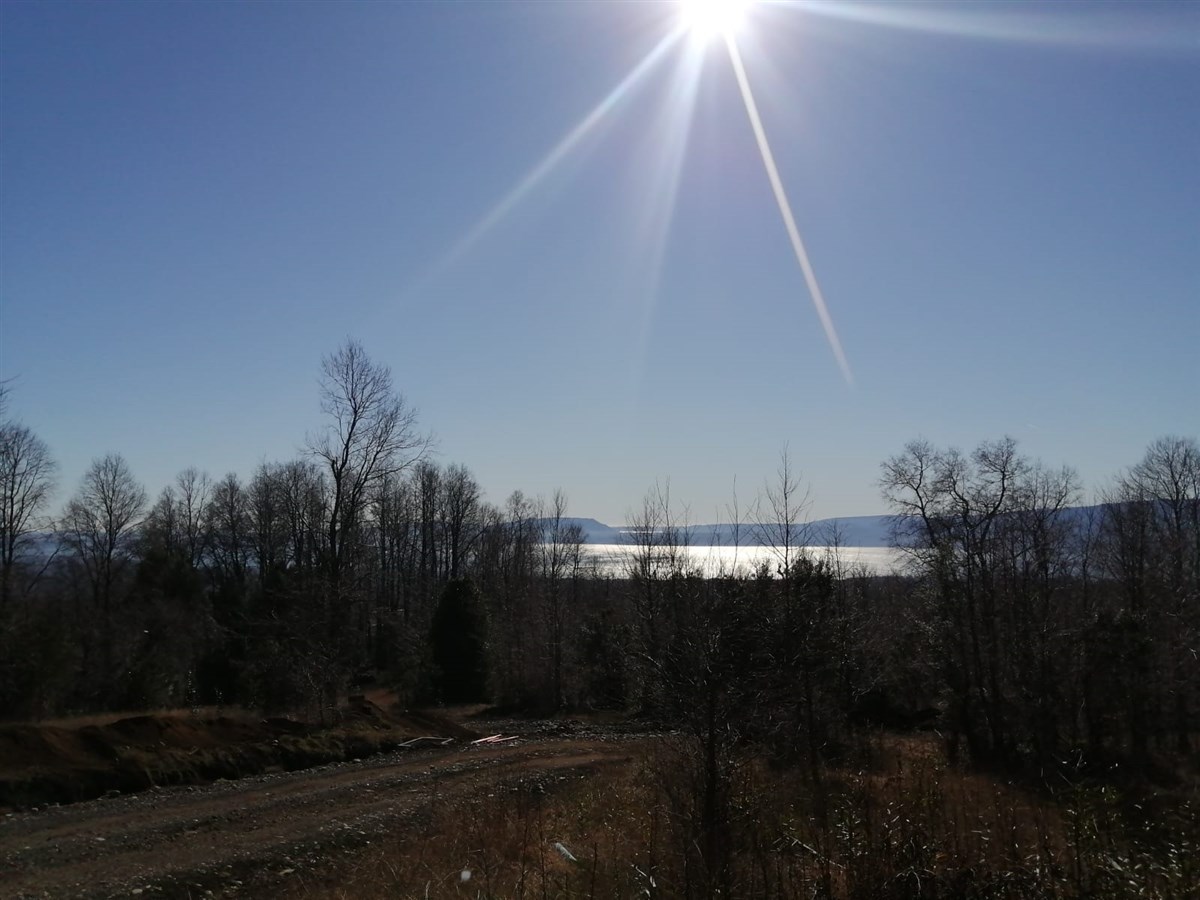 Venta Parcela Villarrica - La Araucanía