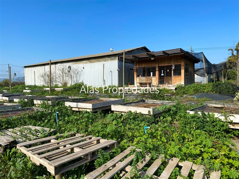 Venta Sitio Curacaví - Región Metropolitana