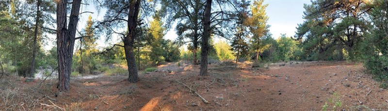 Venta Sitio Parral - Maule
