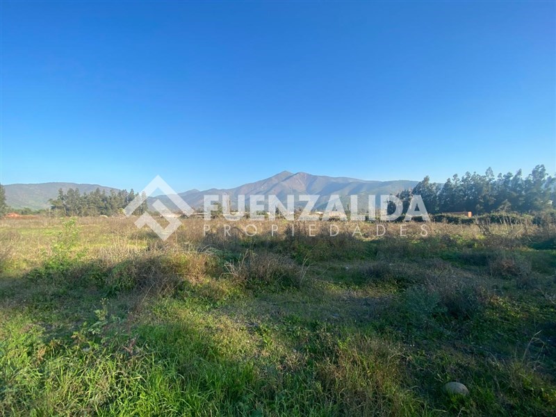 Venta Agrícola Isla de Maipo - Región Metropolitana