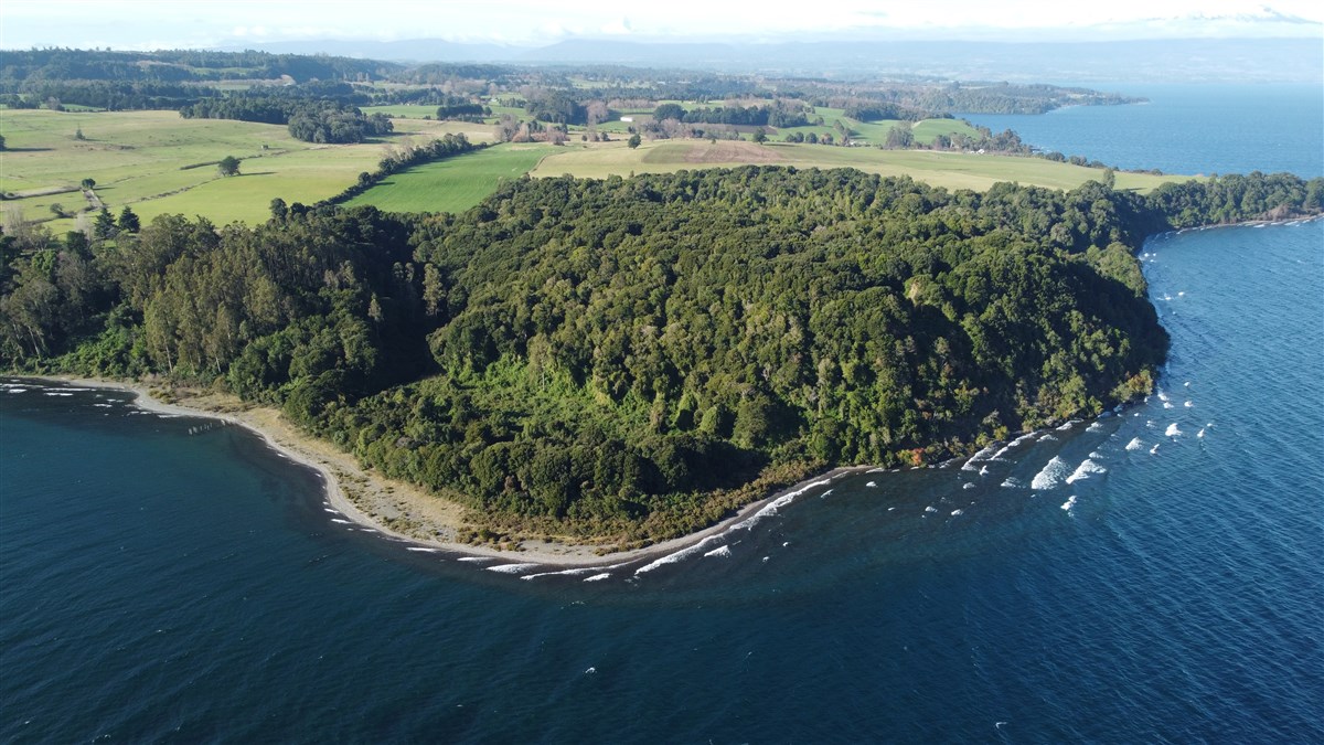 Venta Parcela Puerto Octay - Los Lagos
