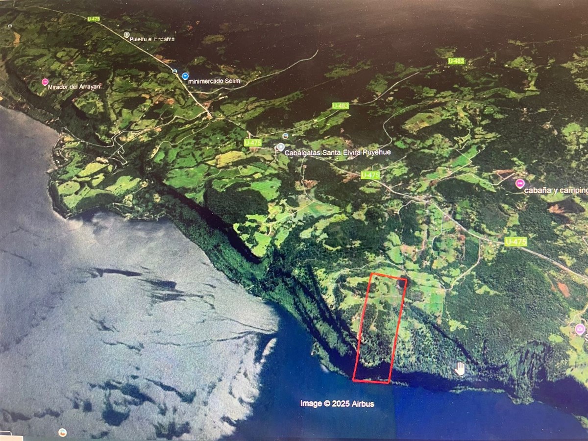 Venta Parcela Puyehue - Los Lagos