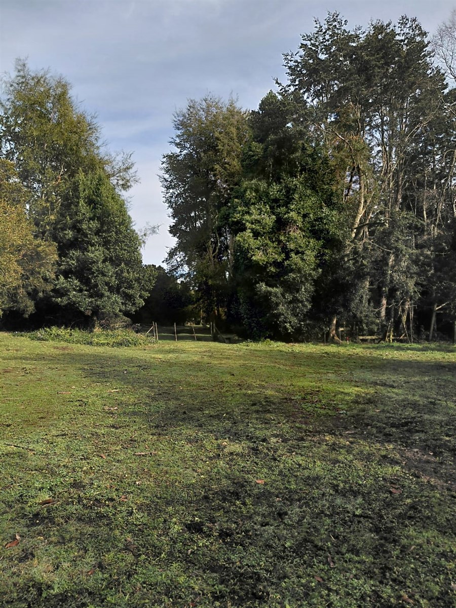 Venta Sitio Puyehue - Los Lagos