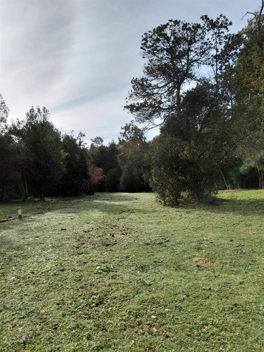 Venta Sitio Puyehue - Los Lagos