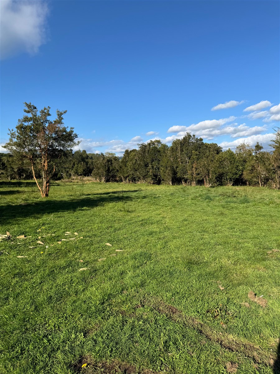Venta Parcela Puyehue - Los Lagos