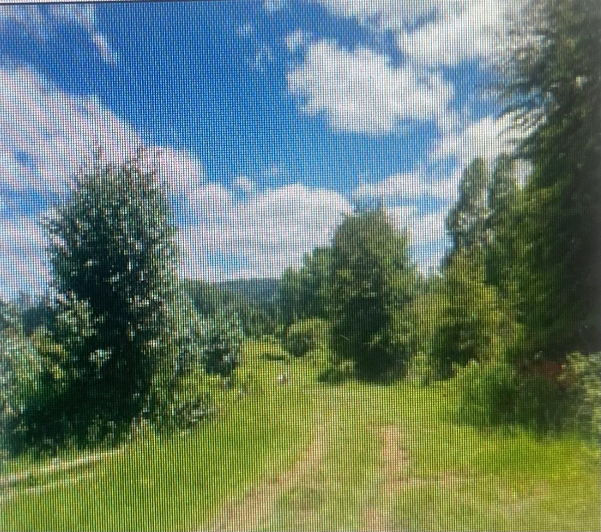 Venta Parcela Loncoche - La Araucanía