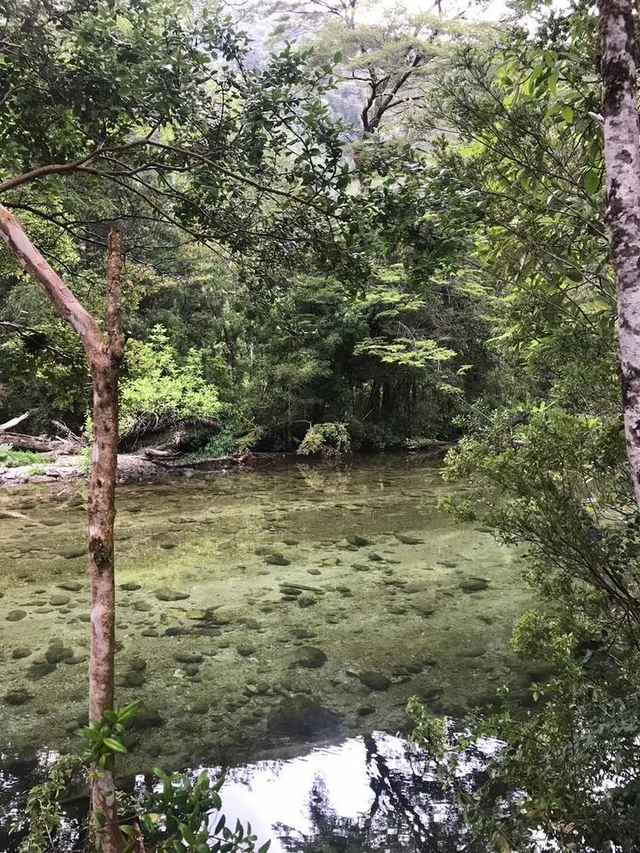 Venta Sitio Cochamó - Los Lagos