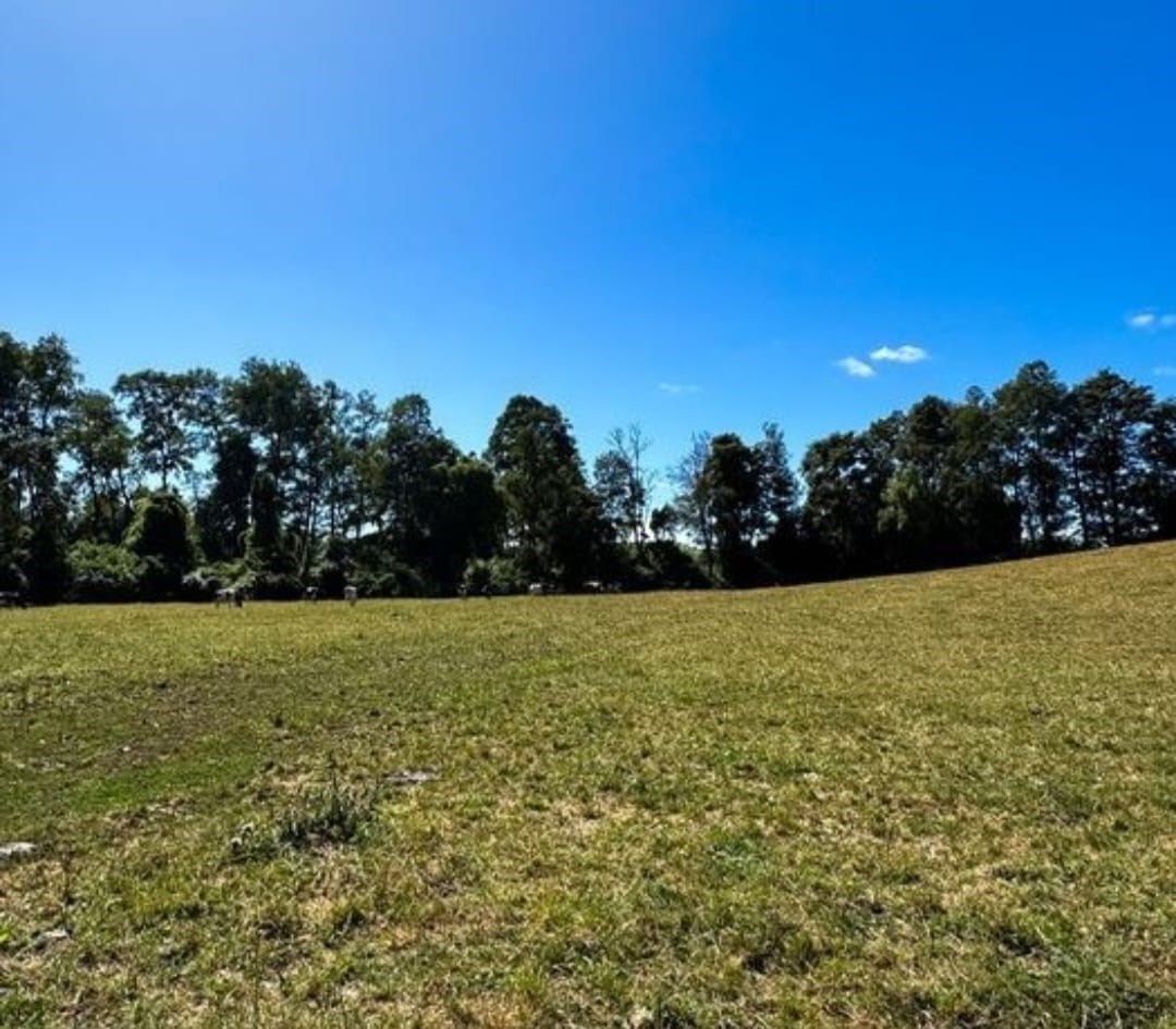 Terreno en Río Bueno