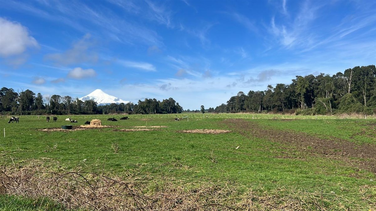 Venta Agrícola Puerto Octay - Los Lagos