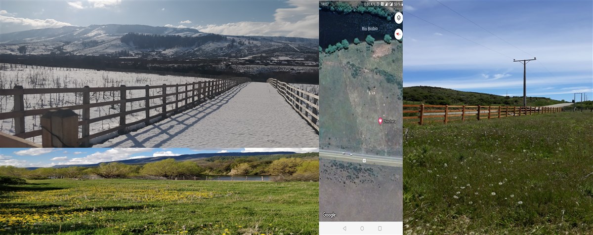 Venta Parcela Lonquimay - La Araucanía