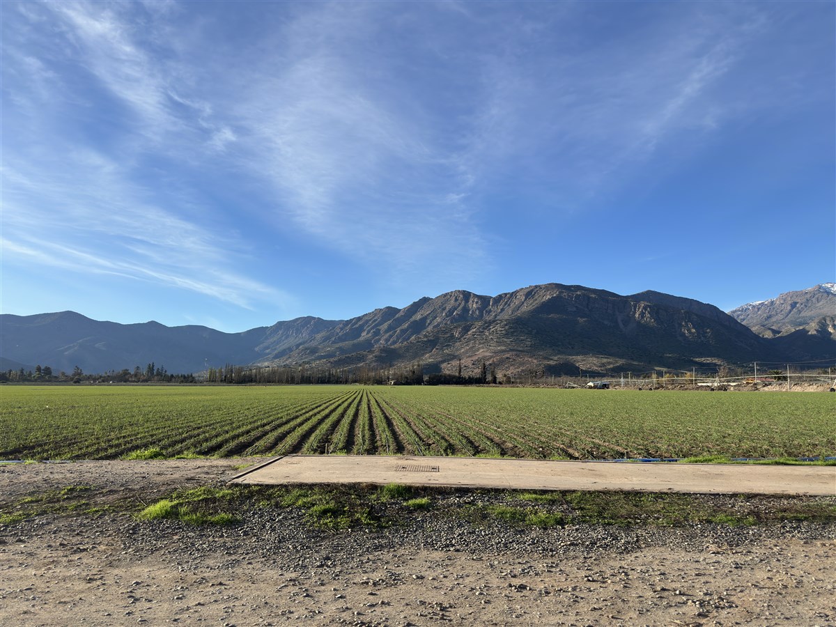 Venta Agrícola Catemu - Valparaíso