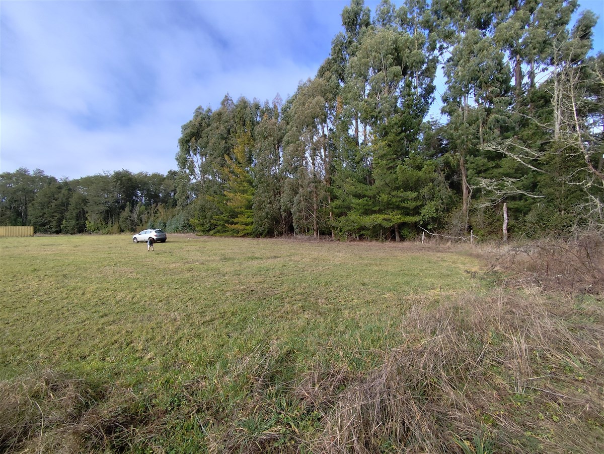 Venta Sitio Puerto Octay - Los Lagos