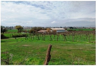 Venta Sitio Los Andes - Valparaíso