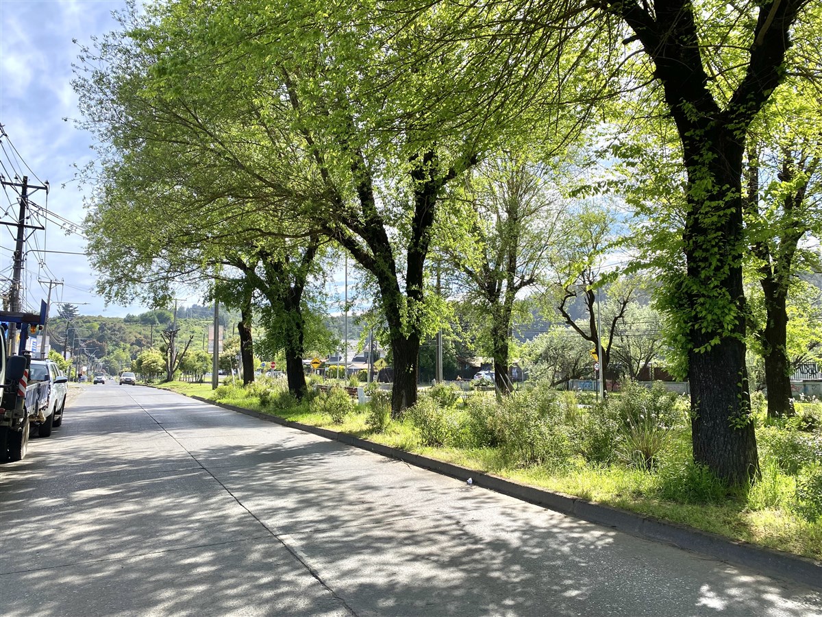 Venta Sitio Temuco - La Araucanía